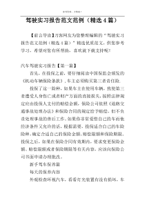 驾驶实习报告范文范例（精选4篇）
