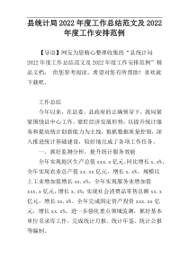 县统计局2022年度工作总结范文及2022年度工作安排范例