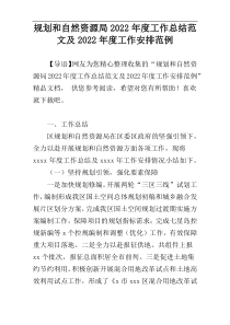 规划和自然资源局2022年度工作总结范文及2022年度工作安排范例