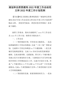 规划和自然资源局2022年度工作总结范文和2022年度工作计划范例_1
