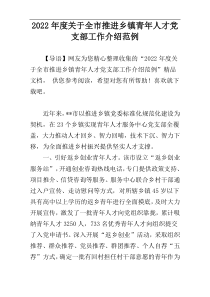 2022年度关于全市推进乡镇青年人才党支部工作介绍范例
