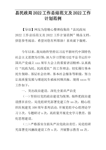 县民政局2022工作总结范文及2022工作计划范例