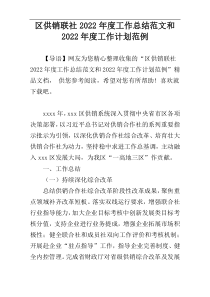 区供销联社2022年度工作总结范文和2022年度工作计划范例_1
