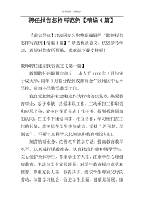 聘任报告怎样写范例【精编4篇】