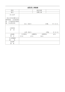 试用与聘用-试用员工考核表