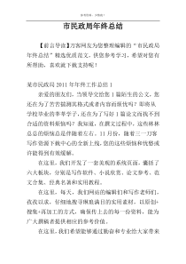 市民政局年终总结
