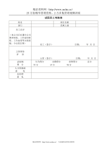 试用员工考核表a