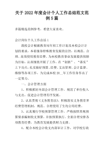 关于2022年度会计个人工作总结范文范例5篇