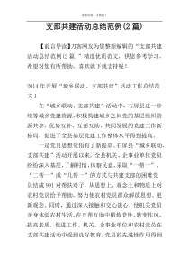 支部共建活动总结范例(2篇)