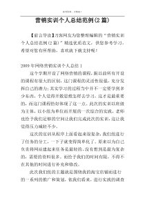 营销实训个人总结范例(2篇)