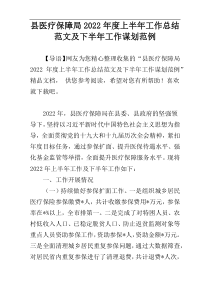 县医疗保障局2022年度上半年工作总结范文及下半年工作谋划范例