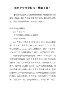 福利企业自查报告（精编4篇）