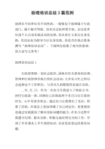助理培训总结3篇范例
