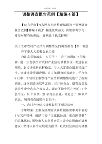 调整调查报告范例【精编4篇】