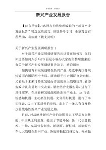 新兴产业发展报告