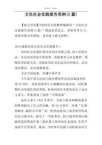 文化社会实践报告范例(3篇)