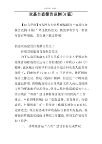 双基自查报告范例(4篇)