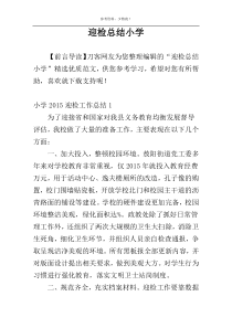 迎检总结小学
