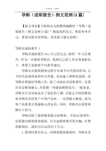 导购（述职报告）例文范例(4篇)