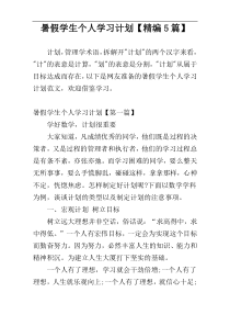 暑假学生个人学习计划【精编5篇】