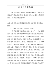 水电分公司总结