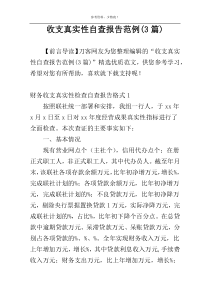 收支真实性自查报告范例(3篇)