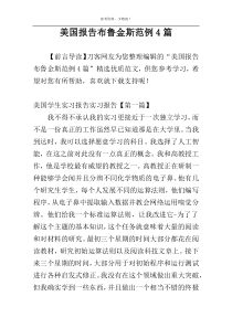 美国报告布鲁金斯范例4篇
