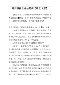 培训班报告总结范例【精选4篇】