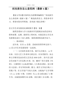 状况报告怎么查范例（最新4篇）