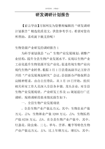 研发调研计划报告