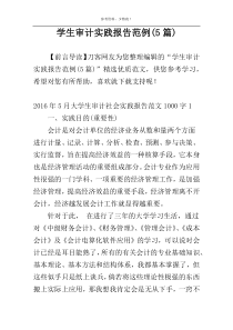 学生审计实践报告范例(5篇)