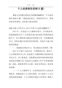个人述责报告范例(5篇)