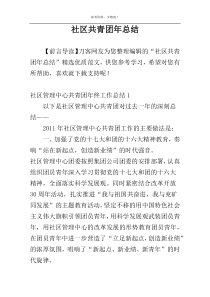 社区共青团年总结