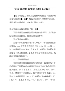 资金管理自查报告范例【4篇】