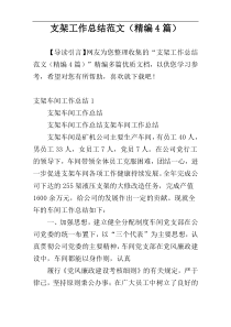支架工作总结范文（精编4篇）