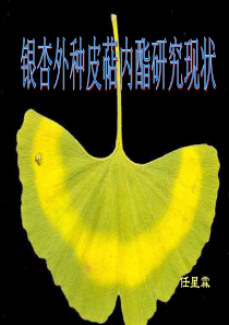 中期考核汇报