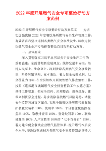 2022年度开展燃气安全专项整治行动方案范例