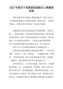 2022年度关于民族团结我践行心得感悟范例