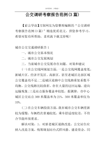 公交调研考察报告范例(3篇)