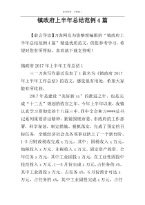 镇政府上半年总结范例4篇