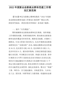 2022年度新业态新就业群体党建工作情况汇报范例