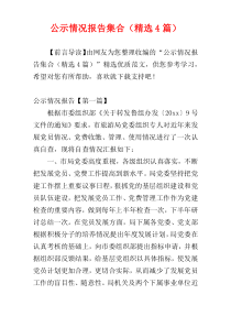 公示情况报告集合（精选4篇）