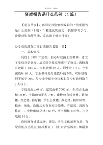 资质报告是什么范例（4篇）