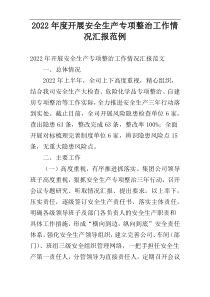 2022年度开展安全生产专项整治工作情况汇报范例