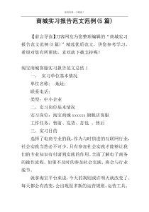 商城实习报告范文范例(5篇)