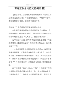 青海工作总结范文范例(2篇)