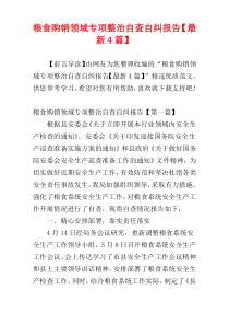 粮食购销领域专项整治自查自纠报告【最新4篇】