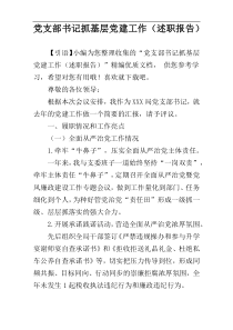 党支部书记抓基层党建工作（述职报告）