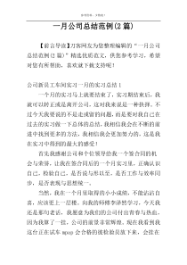 一月公司总结范例(2篇)