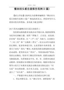 整治回头看自查报告范例(3篇)